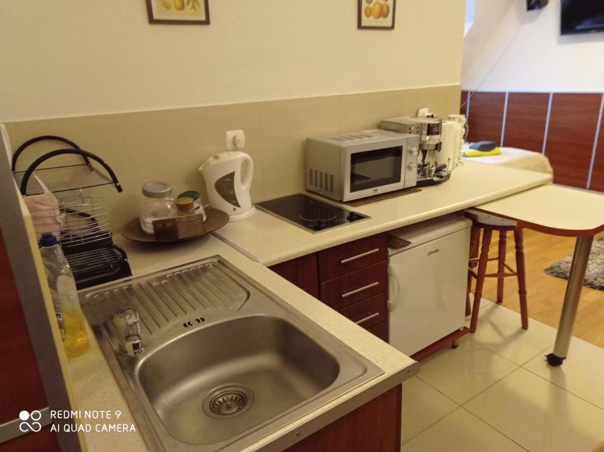 Apartameny Tadeusz 406 Krynica-Zdrój Exterior foto